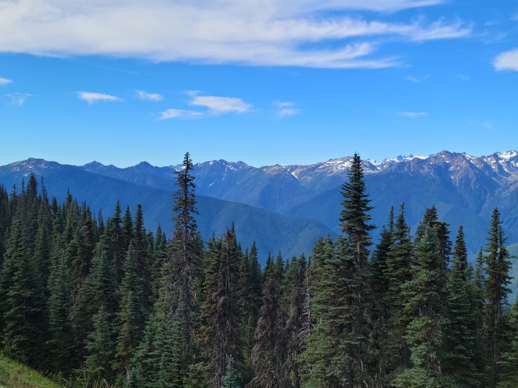 Southern Bailey Range and Long Ridge CommuniChi